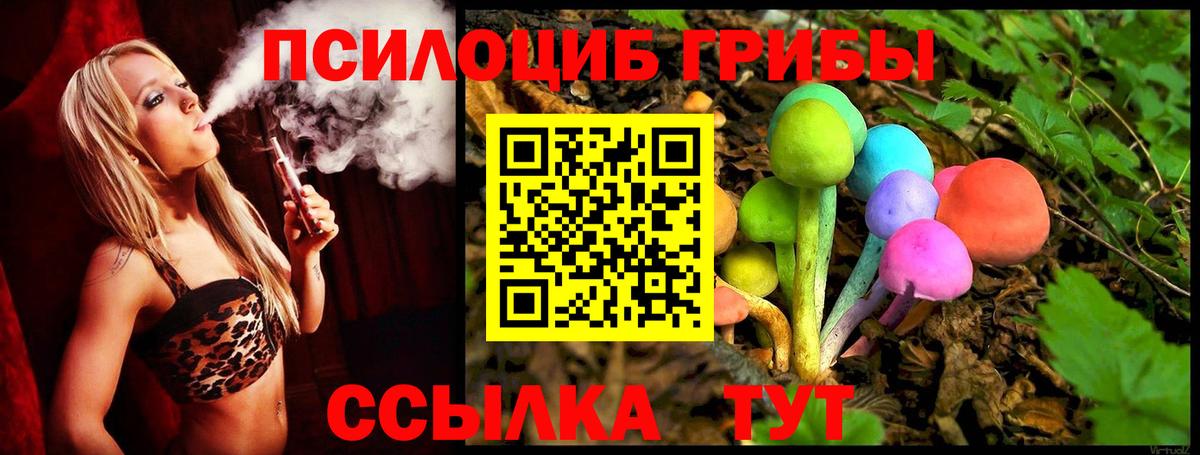Псилоцибиновые грибы Psilocybe Карабулак