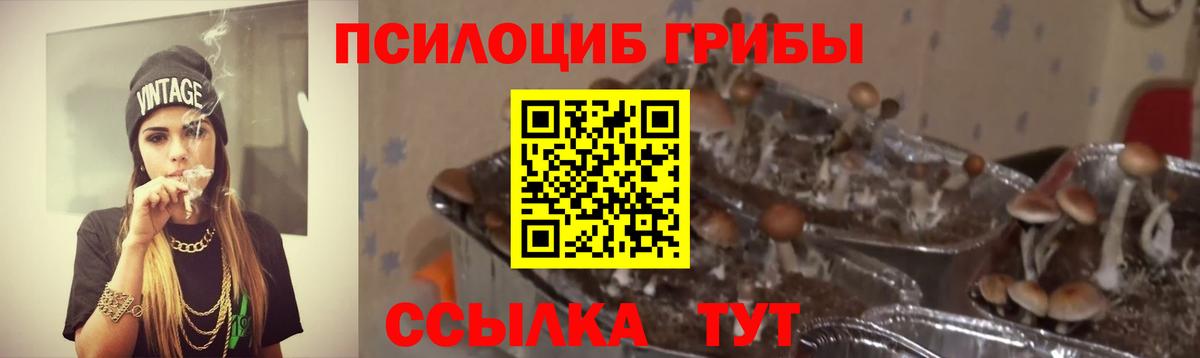 Карабулак  Галлюциногенные грибы Psilocybine cubensis  Вход с VPN  Галлюциногенные грибы Psilocybe 